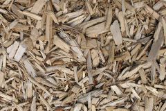 biomass boilers Small Heath